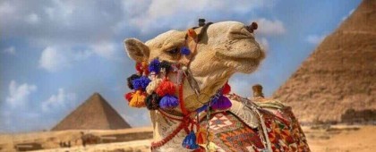 Cairo: Pyramids & Great Sphinx Private Tour with Camel Ride