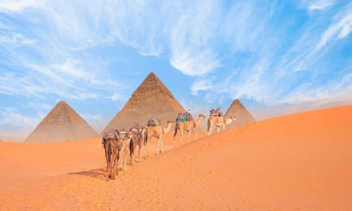 Camel caravan in front of the Great pyramid of Giza complex - Cairo, Egypt.